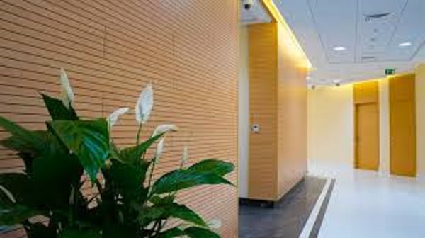 Market Trends Driving Acoustic Wood Wall Panels Adoption
